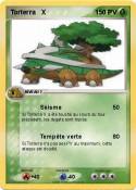 Torterra X