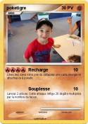 poketigre
