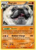 Pug Lord