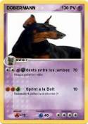 DOBERMANN
