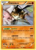chatonatore