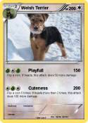 Welsh Terrier