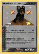 Mirakémon niv.