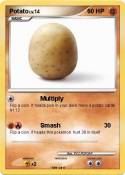 Potato