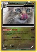 rumble cat