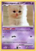 Chaton mignon