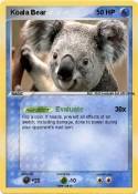 Koala Bear