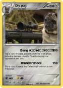 DIy pug