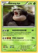 Siamang Ape