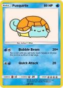 Pusquirtle