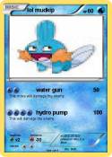 lol mudkip