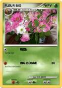 FLEUR BIG