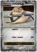 marmotte mitail