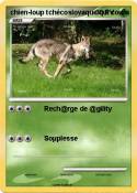 chien-loup