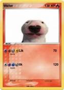 Walter