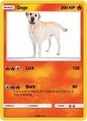 Doge