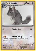 Chinchilla