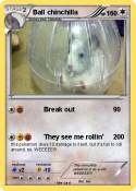 Ball chinchilla
