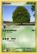 Ne boom