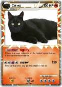 Cat ex