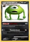 owner of tha
