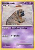 mastiff & poule