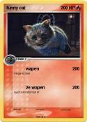 funny cat