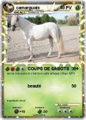 camarguais