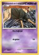 greyhound en