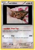 sad kitten
