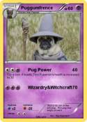 Puggumfrence