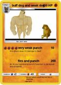 buff dog and