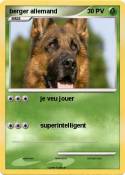 berger allemand
