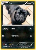 Pug