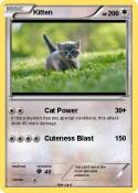 Kitten