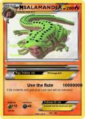 SALAMANDER