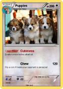 Puppies