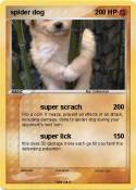 spider dog