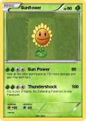 Sunflower