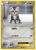 kitty cat