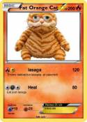 Fat Orange Cat