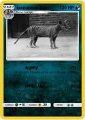 tasmanian tiger