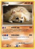 Pawser