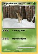 berger allemand