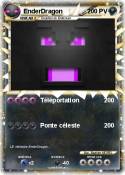 EnderDragon