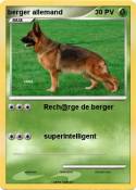 berger allemand