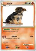 puppy