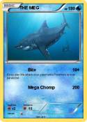 THE MEG