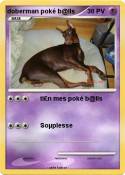 doberman poké