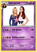 Sam and Cat